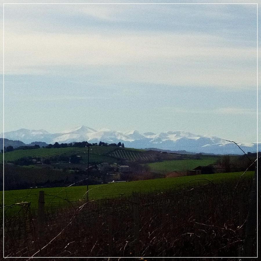Bed and Breakfast Casale Ermo Colle Recanati Exterior foto